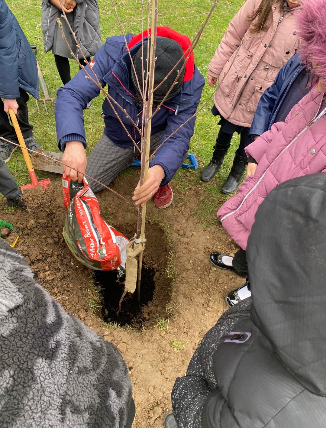 pupils plant trees in the school grounds
