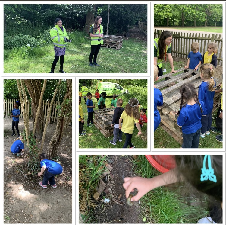 a montage of photos from the bug hotel making workshop