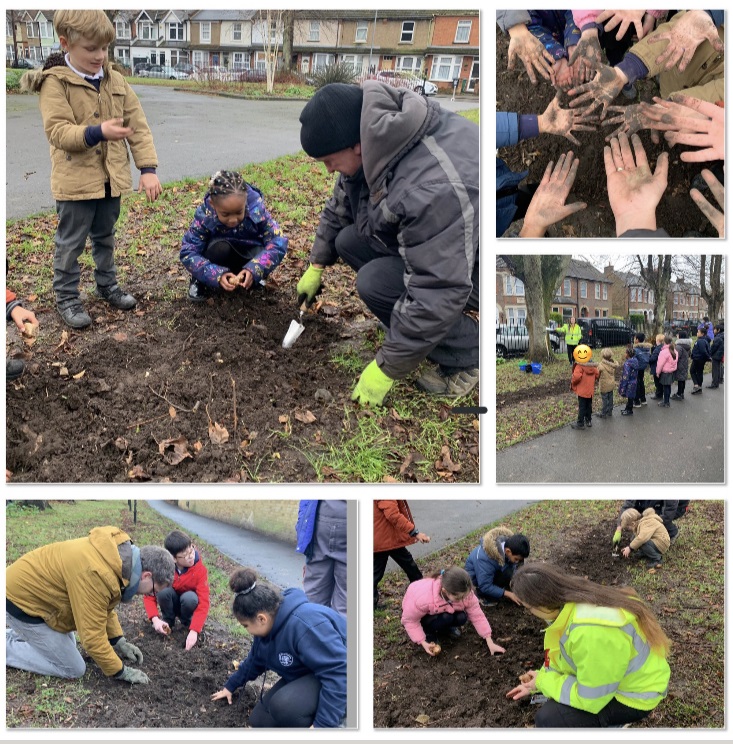 Eco Council - Bulb Planting in Callowland Park