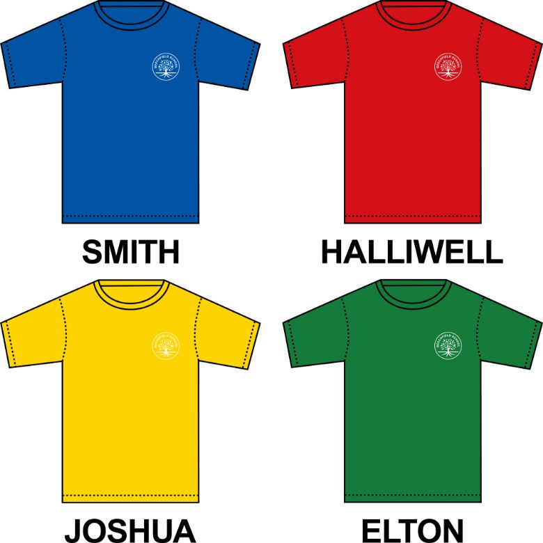 4 tshirts in the house colours in blue, red, yellow & green with the house names below them